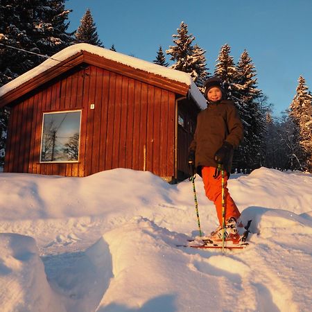 Cabin With Great View Close To Town And Ski Area ลิลฮัมเมอร์ ภายนอก รูปภาพ