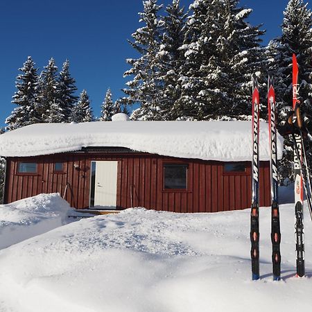 Cabin With Great View Close To Town And Ski Area ลิลฮัมเมอร์ ภายนอก รูปภาพ