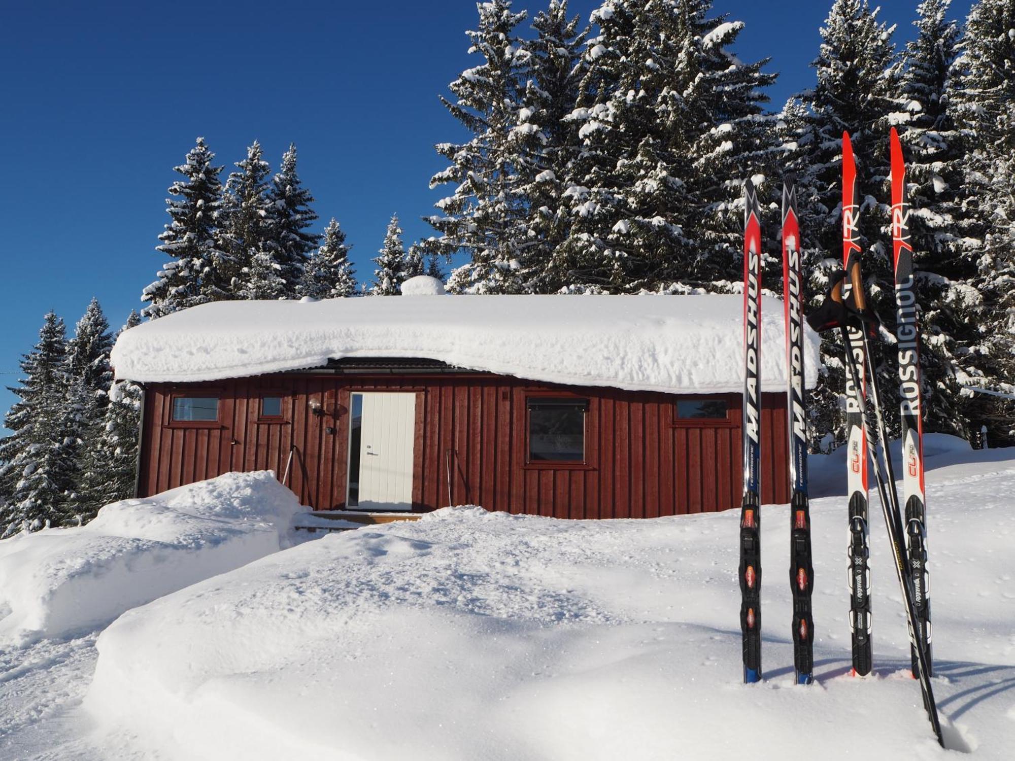 Cabin With Great View Close To Town And Ski Area ลิลฮัมเมอร์ ภายนอก รูปภาพ